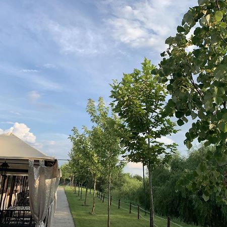 Hanul Cocosul Vitanesti Exterior foto