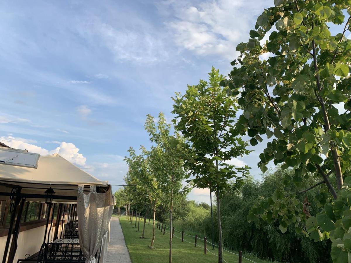 Hanul Cocosul Vitanesti Exterior foto